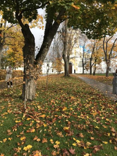 Остров Коневец