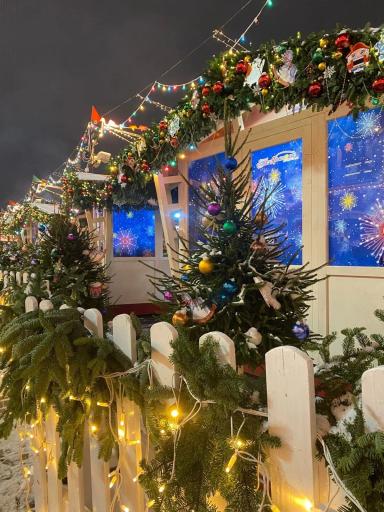 Новогодняя столица | Экскурсионные туры Москва | Школьные каникулы сезон 2024 - 2025