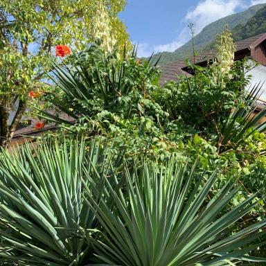 Большая абхазская кругосветка | Гастрономические туры Сухум | Школьные каникулы сезон 2024 - 2025