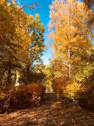 Классичесский Санкт-Петербург (4 дня/3 ночи, пятница - понедельник) |  Санкт-Петербург | Июнь сезон 2024 - 2025