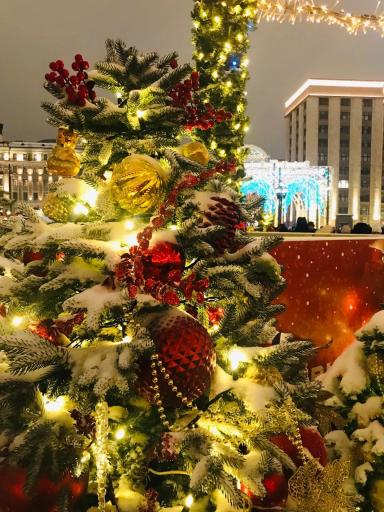 Москва. Выходные в Москве май-сентябрь | Сборный тур Кусково | Выходного дня сезон 2024 - 2025