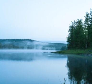 active-image