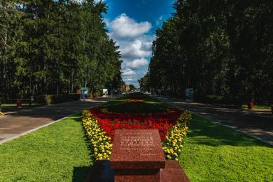 active-image