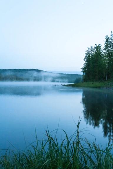 active-image