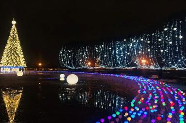 Новогодняя экскурсия «Вечерний Петербург»