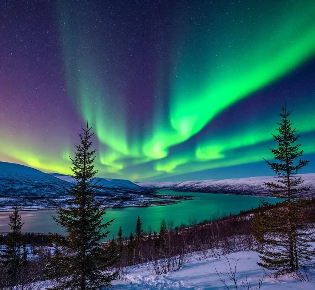 Тур в Мурманск: Аврора.Море.Ты. | Туры на Праздники Териберка | Ноябрь сезон 2024 - 2025