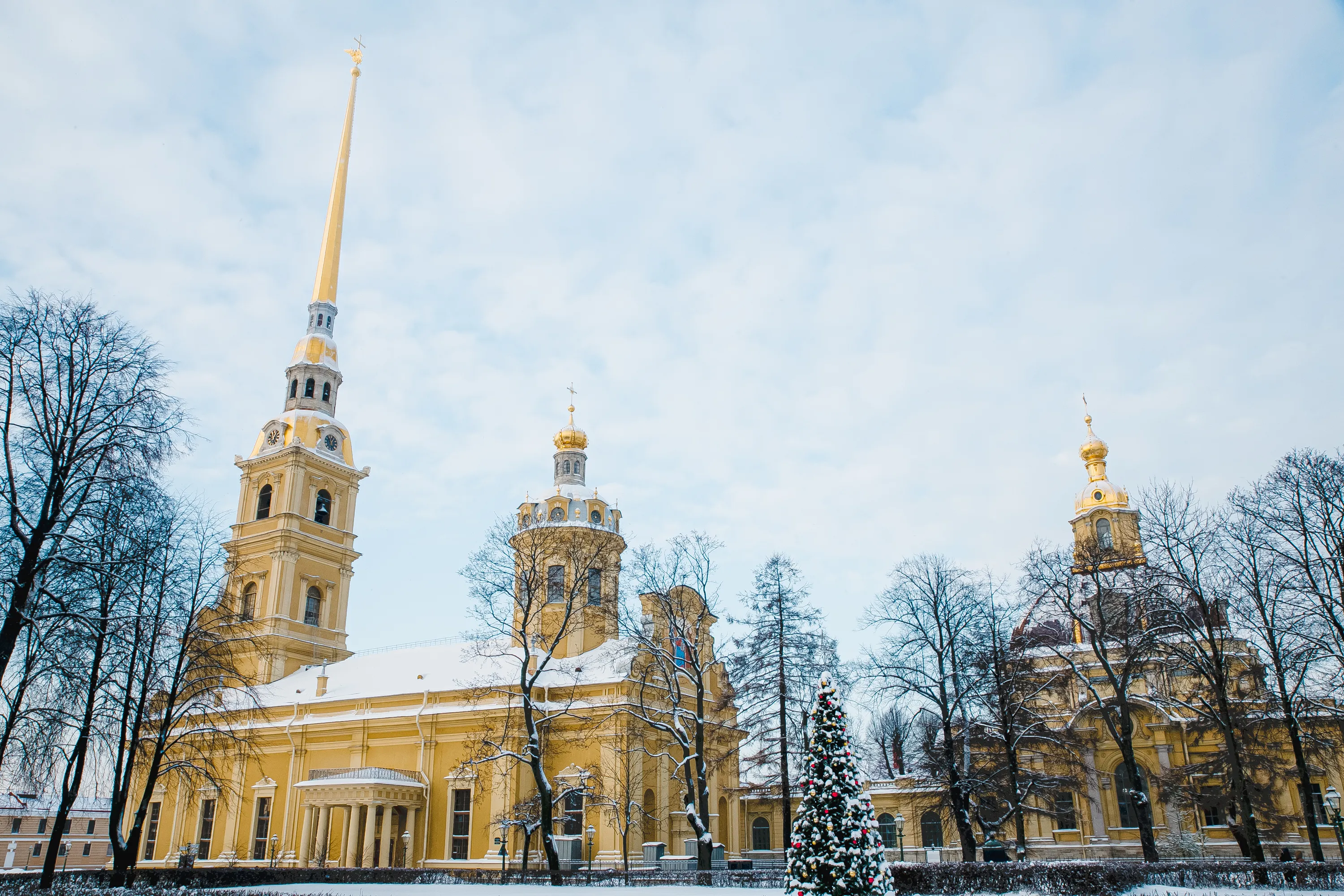 Новогодний Санкт-Петербург