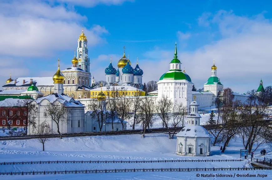 Под княжеским стягом