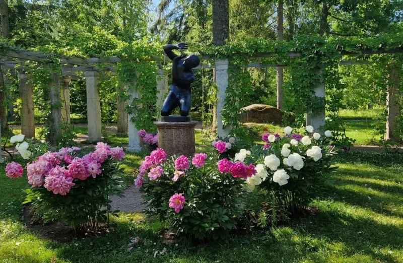 Выходные в царских резиденциях: Петергоф - Александрия - Ораниенбаум. СПА отель | Индивидуальные туры Санкт-Петербург | Июнь сезон 2024 - 2025