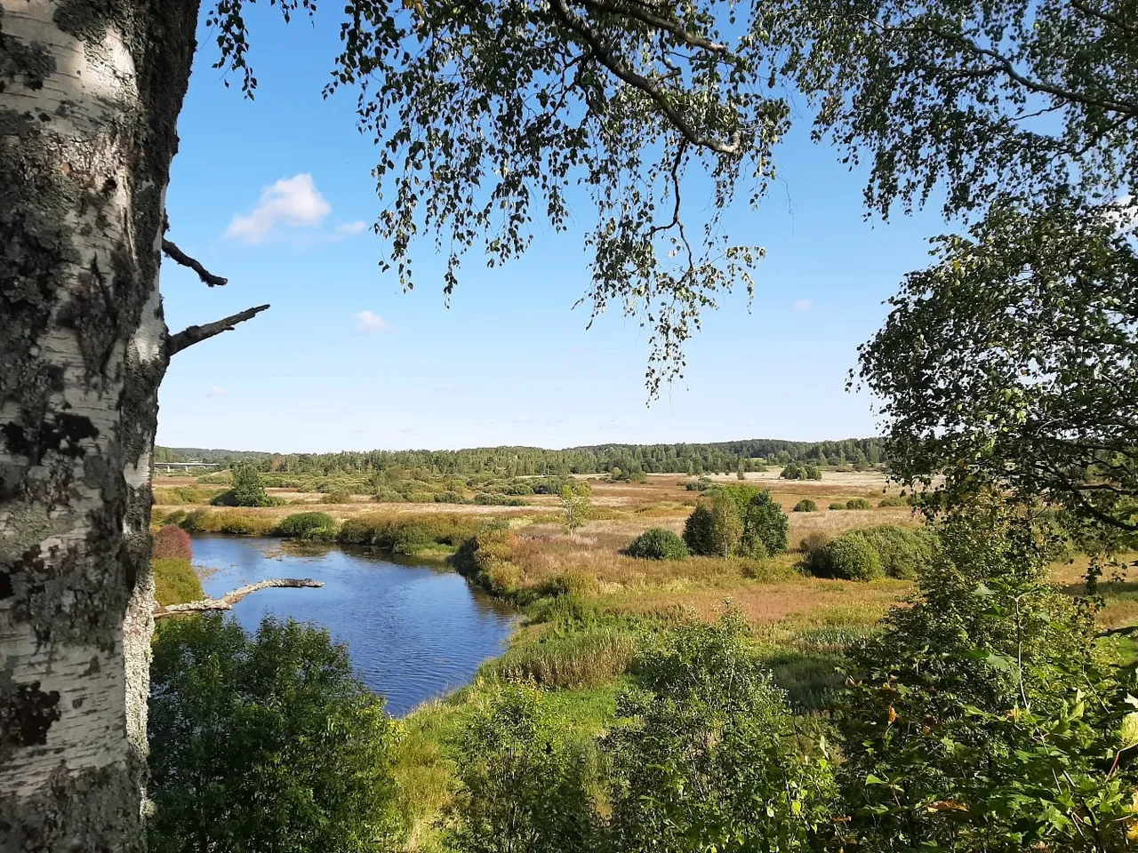 Золотая осень в Пушкинских горах | Экскурсионные туры Тригорское | Туры на 3 дня сезон 2024 - 2025